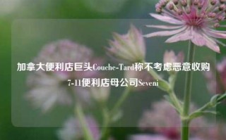 加拿大便利店巨头Couche-Tard称不考虑恶意收购7-11便利店母公司Seveni