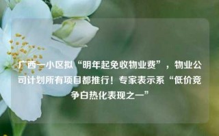 广西一小区拟“明年起免收物业费”，物业公司计划所有项目都推行！专家表示系“低价竞争白热化表现之一”