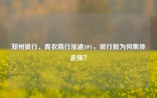 郑州银行、青农商行涨逾10%，银行股为何集体走强？