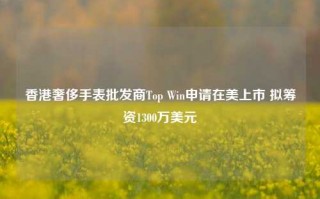 香港奢侈手表批发商Top Win申请在美上市 拟筹资1300万美元