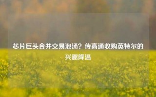 芯片巨头合并交易泡汤？传高通收购英特尔的兴趣降温