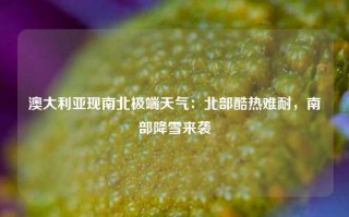 澳大利亚现南北极端天气：北部酷热难耐，南部降雪来袭