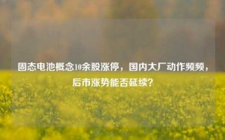 固态电池概念10余股涨停，国内大厂动作频频，后市涨势能否延续？