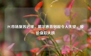 PC市场复苏迟缓，戴尔惠普财报令人失望，股价盘后大跌