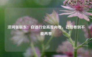 洋河张联东：白酒行业高度内卷，已经卷到不能再卷