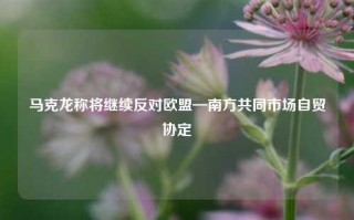 马克龙称将继续反对欧盟—南方共同市场自贸协定