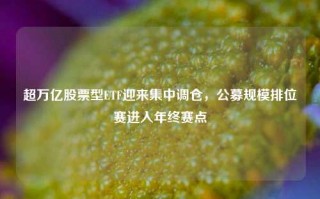 超万亿股票型ETF迎来集中调仓，公募规模排位赛进入年终赛点