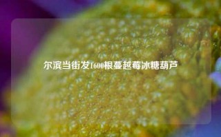 尔滨当街发1600根蔓越莓冰糖葫芦