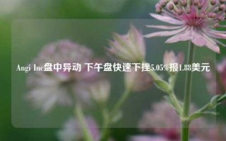 Angi Inc盘中异动 下午盘快速下挫5.05%报1.88美元