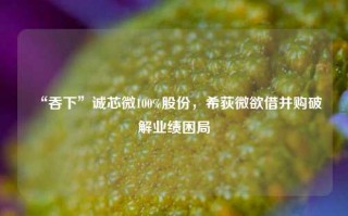 “吞下”诚芯微100%股份，希荻微欲借并购破解业绩困局