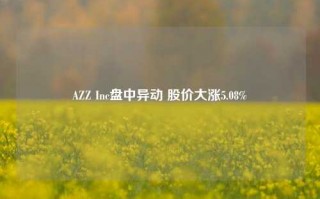 AZZ Inc盘中异动 股价大涨5.08%