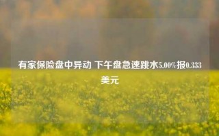 有家保险盘中异动 下午盘急速跳水5.00%报0.333美元