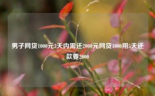 男子网贷1000元3天内需还2000元网贷1000用5天还款要2000