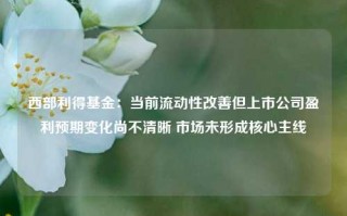 西部利得基金：当前流动性改善但上市公司盈利预期变化尚不清晰 市场未形成核心主线