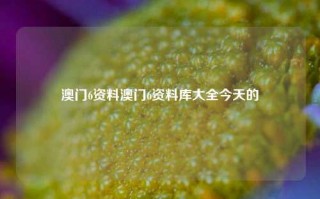 澳门6资料澳门6资料库大全今天的