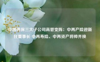 中国再保三大子公司高管变阵：中再产险迎新任董事长 中再寿险、中再资产将帅齐换