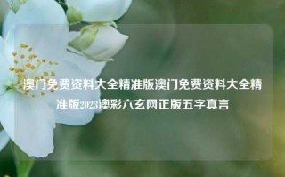 澳门免费资料大全精准版澳门免费资料大全精准版2023澳彩六玄网正版五字真言