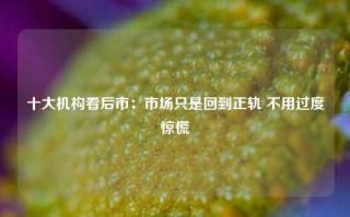 十大机构看后市：市场只是回到正轨 不用过度惊慌