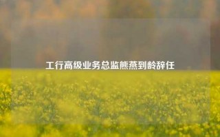 工行高级业务总监熊燕到龄辞任