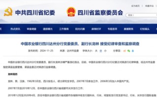 金融圈突发！龙林、林跃进被查