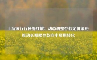 上海银行行长施红敏：动态调整存款定价策略 推动长期限存款向中短期转化