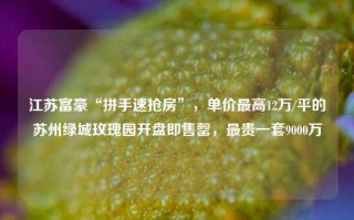 江苏富豪“拼手速抢房”，单价最高12万/平的苏州绿城玫瑰园开盘即售罄，最贵一套9000万