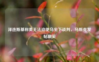 泽连斯基称美无法迫使乌坐下谈判，马斯克发帖嘲笑