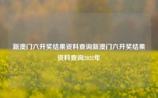 新澳门六开奖结果资料查询新澳门六开奖结果资料查询2022年