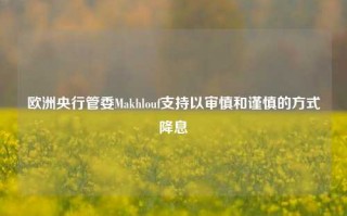 欧洲央行管委Makhlouf支持以审慎和谨慎的方式降息