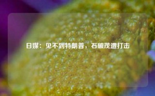 日媒：见不到特朗普，石破茂遭打击