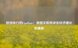 欧洲央行的Cipollone：美国关税将冲击经济增长和通胀