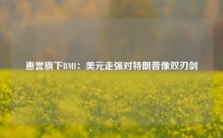 惠誉旗下BMI：美元走强对特朗普像双刃剑