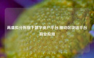 高盛拟分拆旗下数字资产平台 推动区块链平台商业应用