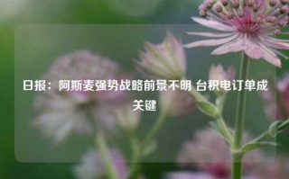 日报：阿斯麦强势战略前景不明 台积电订单成关键