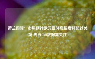 荷兰国际：市场预计欧元区降息幅度将超过美英 周五PMI数据需关注