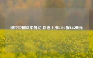 理臣中国盘中异动 快速上涨5.11%报1.85美元