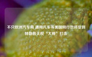 不只欧洲汽车商 通用汽车等美国同行也将受到特朗普关税“大棒”打击