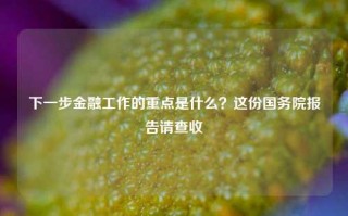 下一步金融工作的重点是什么？这份国务院报告请查收