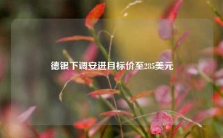 德银下调安进目标价至285美元