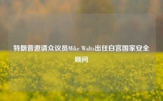 特朗普邀请众议员Mike Waltz出任白宫国家安全顾问