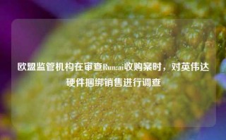 欧盟监管机构在审查Run:ai收购案时，对英伟达硬件捆绑销售进行调查