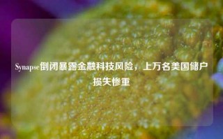 Synapse倒闭暴露金融科技风险，上万名美国储户损失惨重