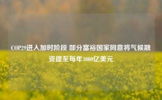 COP29进入加时阶段 部分富裕国家同意将气候融资提至每年3000亿美元