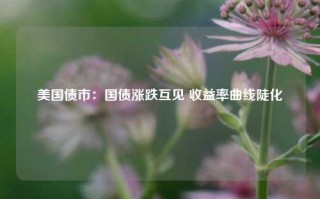 美国债市：国债涨跌互见 收益率曲线陡化