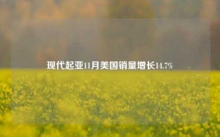 现代起亚11月美国销量增长14.7%