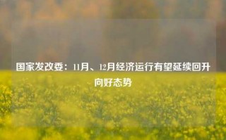 国家发改委：11月、12月经济运行有望延续回升向好态势