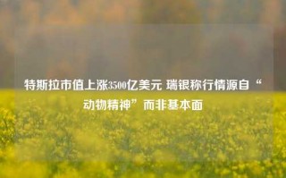 特斯拉市值上涨3500亿美元 瑞银称行情源自“动物精神”而非基本面