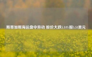 斯蒂加斯海运盘中异动 股价大跌5.14%报5.51美元