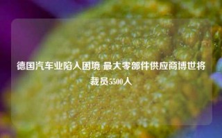 德国汽车业陷入困境 最大零部件供应商博世将裁员5500人