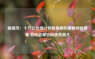 杨德龙：十万亿化债计划是重要的增量财政政策 后续政策空间依然很大